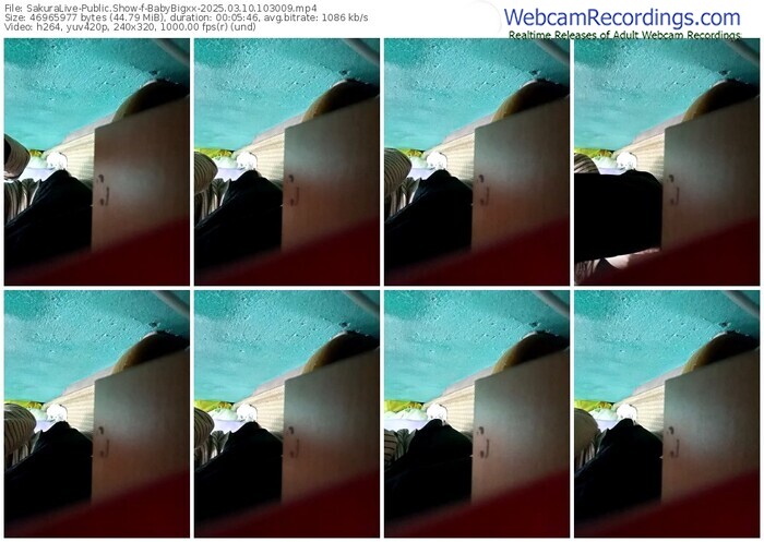 sakuralive-babybigxx-03-10-2025-10-30-09