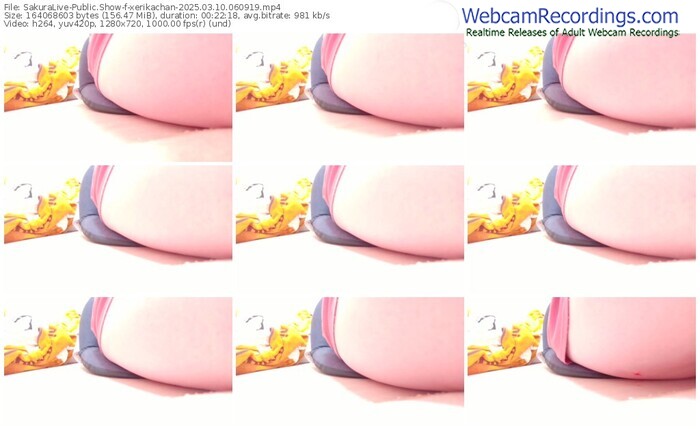 sakuralive-xerikachan-03-10-2025-06-09-19