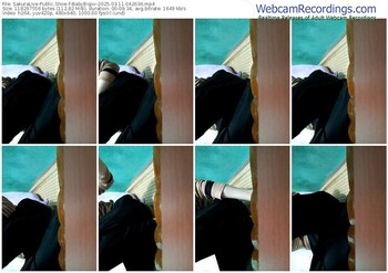 sakuralive-babybigxx-03-11-2025-04-26-36