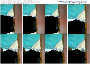 sakuralive-babybigxx-03-11-2025-04-50-59