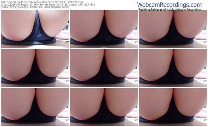 sakuralive-xerikachan-03-11-2025-20-08-35