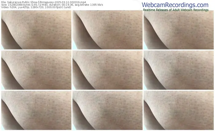 sakuralive-riinapussy-03-12-2025-00-20-19