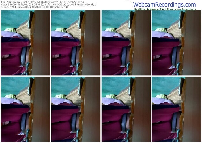 sakuralive-babybigxx-03-13-2025-03-39-58