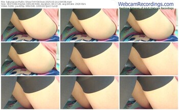 sakuralive-hiyokosss-03-14-2025-15-46-38