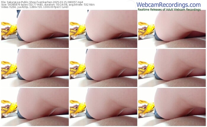 sakuralive-xerikachan-03-15-2025-08-06-57