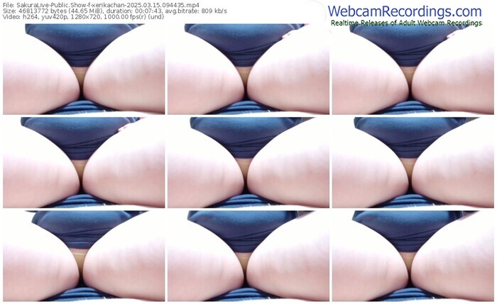 sakuralive-xerikachan-03-15-2025-09-44-35