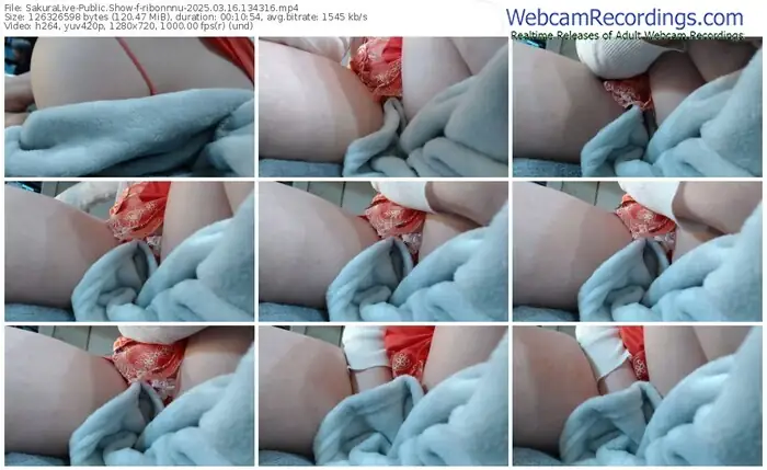 sakuralive-ribonnnu-03-16-2025-13-43-16