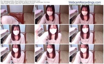 sakuralive-hinarnr-03-20-2025-15-16-17