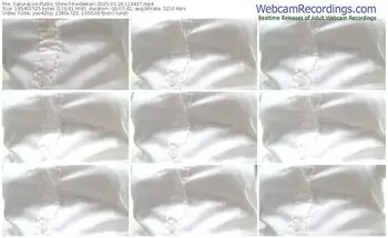 sakuralive-koidemari-03-24-2025-11-44-37