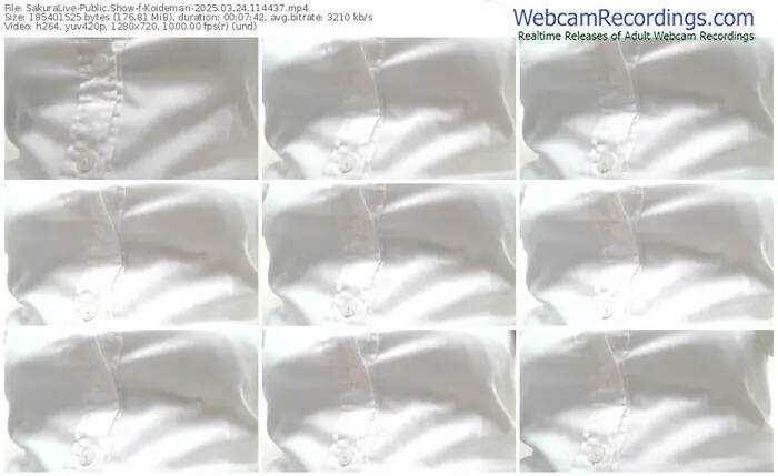 sakuralive-koidemari-03-24-2025-11-44-37