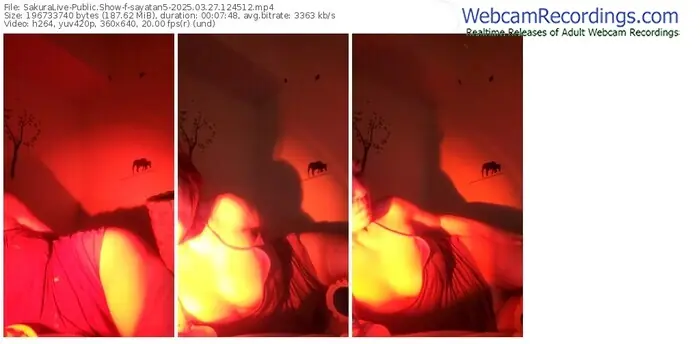 sakuralive-sayatan5-03-27-2025-12-45-12