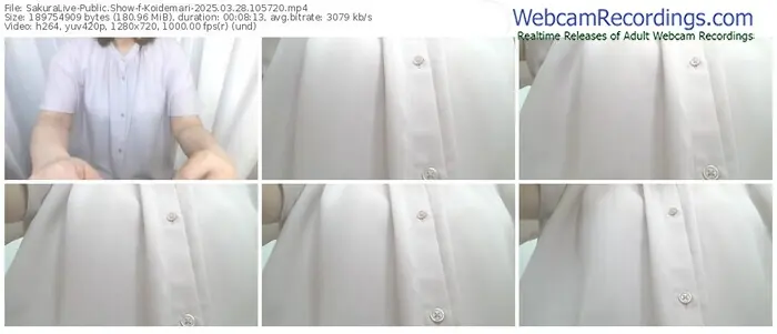 sakuralive-koidemari-03-28-2025-10-57-20