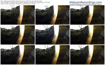 sakuralive-mamys-03-29-2025-19-44-45