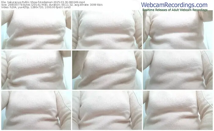 sakuralive-koidemari-03-30-2025-08-02-49