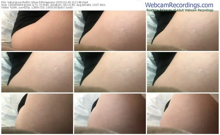 sakuralive-riinapussy-03-30-2025-21-11-48