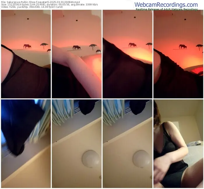 sakuralive-sayatan5-03-30-2025-09-08-46