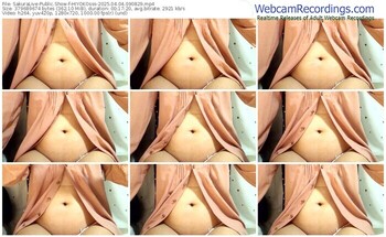 sakuralive-hiyokosss-04-04-2025-09-08-29