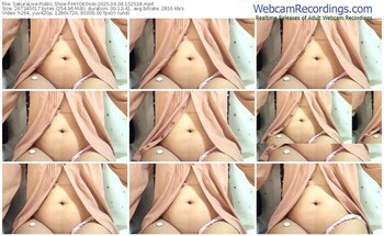 sakuralive-hiyokosss-04-04-2025-15-25-18