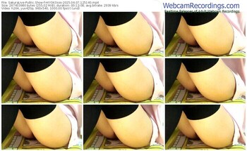 sakuralive-hiyokosss-04-07-2025-12-51-40