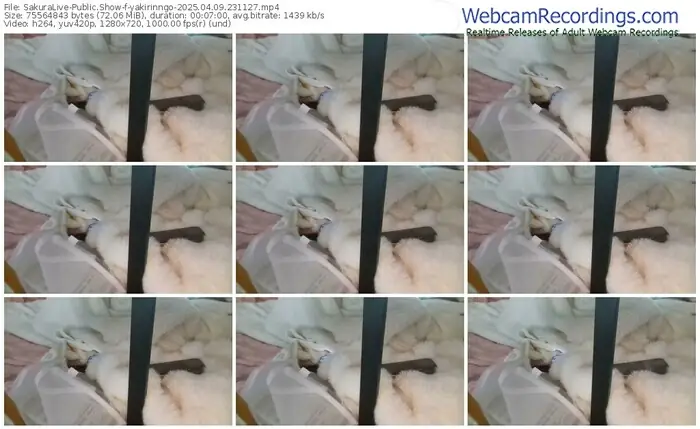 sakuralive-yakirinngo-04-09-2025-23-11-27