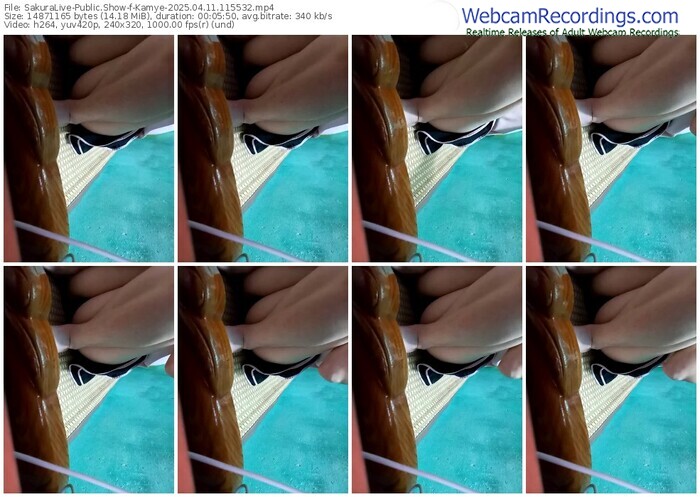 sakuralive-kamye-04-11-2025-11-55-32