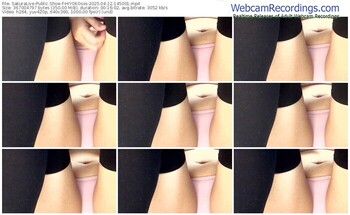 sakuralive-hiyokosss-04-12-2025-14-50-01