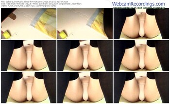 sakuralive-hiyokosss-04-14-2025-14-17-47