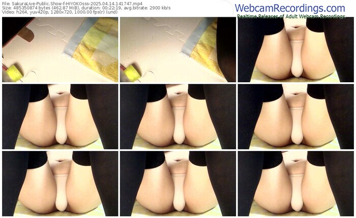 sakuralive-hiyokosss-04-14-2025-14-17-47