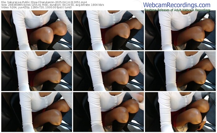 sakuralive-harukannn-04-14-2025-01-30-51