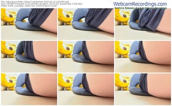 sakuralive-xerikachan-04-14-2025-22-20-38