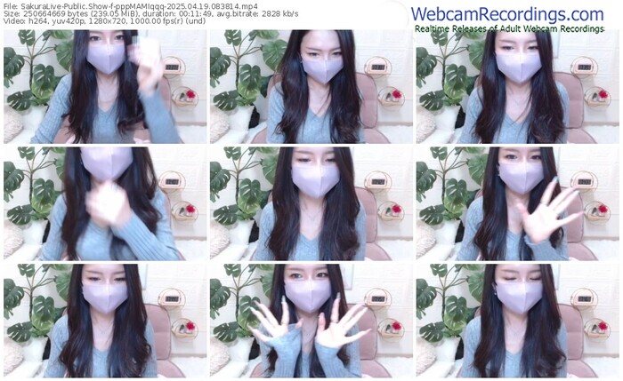 sakuralive-pppmamiqqq-04-19-2025-08-38-14