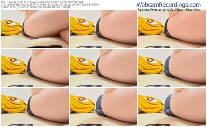 sakuralive-xerikachan-04-19-2025-00-52-04