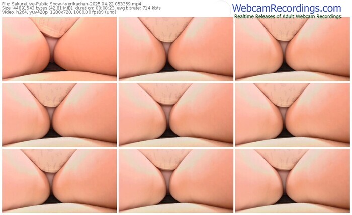 sakuralive-xerikachan-04-22-2025-05-33-59