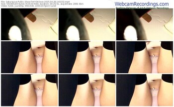 sakuralive-hiyokosss-04-28-2025-14-32-32