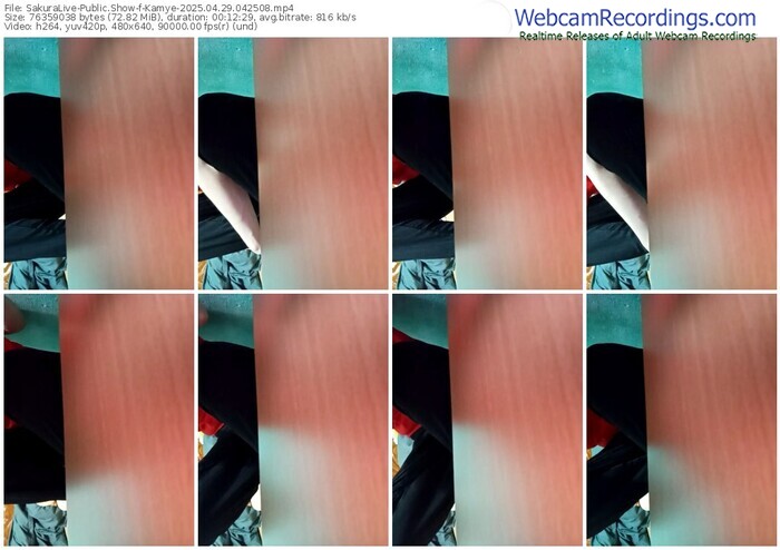 sakuralive-kamye-04-29-2025-04-25-08