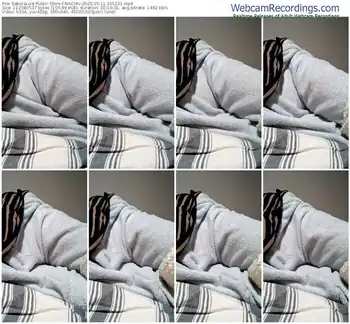 sakuralive-nachiv-05-11-2025-10-52-31