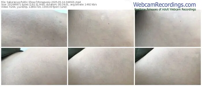 sakuralive-riinapussy-05-14-2025-04-49-21