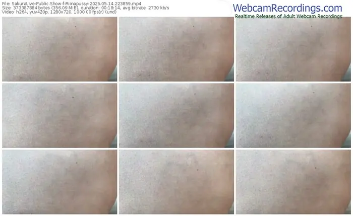 sakuralive-riinapussy-05-14-2025-22-38-59