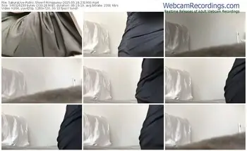 sakuralive-riinapussy-05-18-2025-23-19-00