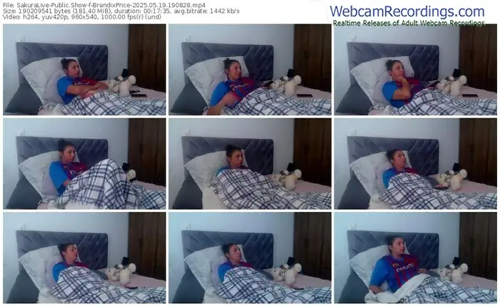sakuralive-brandixprice-05-19-2025-19-08-28