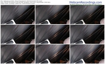 sakuralive-harukannn-05-26-2025-01-13-51