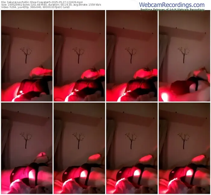 sakuralive-sayatan5-05-27-2025-12-24-26