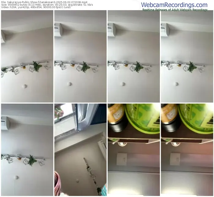 sakuralive-hanakosan3-06-02-2025-07-20-38