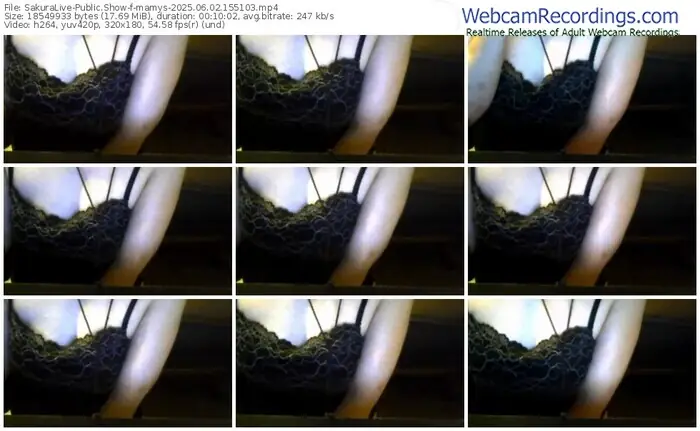 sakuralive-mamys-06-02-2025-15-51-03