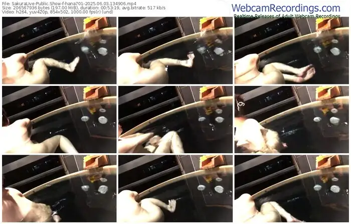 sakuralive-hana701-06-03-2025-13-49-06