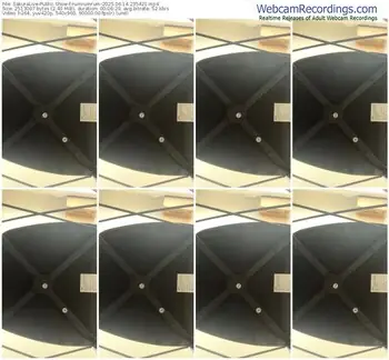 sakuralive-rumrumrum-06-14-2025-23-54-21