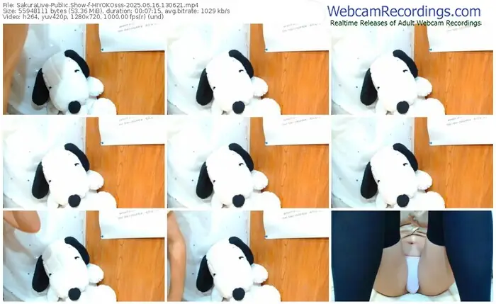 sakuralive-hiyokosss-06-16-2025-13-06-21