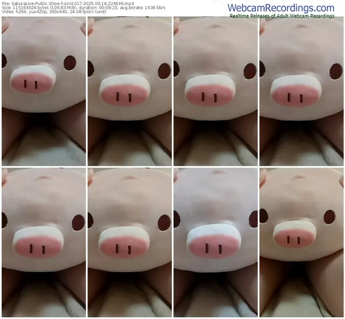 sakuralive-siro1017-06-18-2025-22-46-46