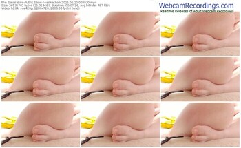 sakuralive-xerikachan-06-20-2025-00-39-30