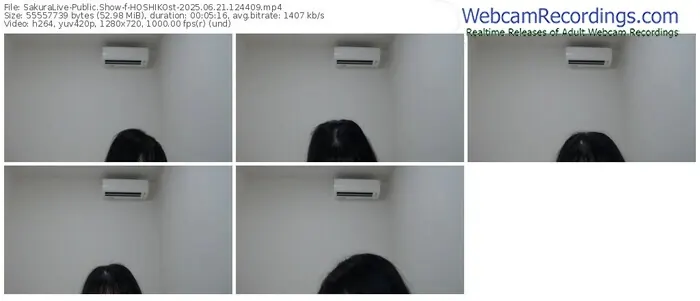 sakuralive-hoshikost-06-21-2025-12-44-09